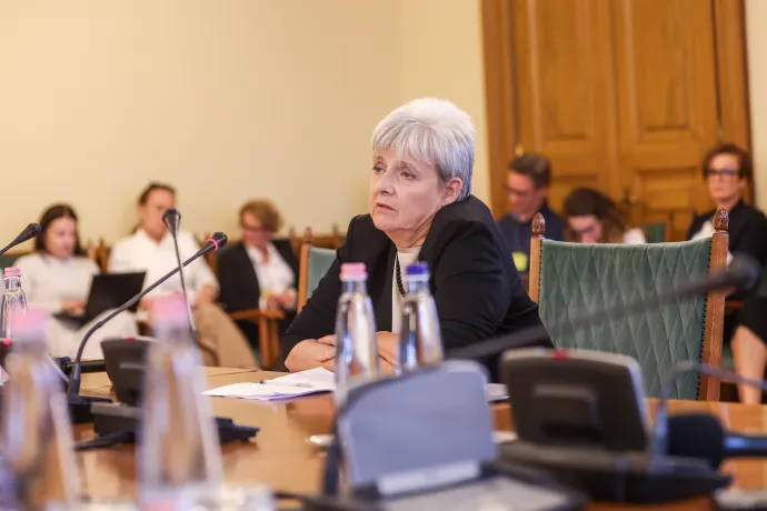 Lannert Judit bizottsági meghallgatása 2026. május 11-én – Fotó: Melegh Noémi Napsugár / Telex
