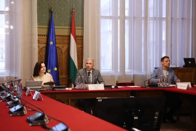 Csőszi Attila és Tuzson Bence a vizsgálóbizottság ülésén. – Fotó: Hevesi-Szabó Lujza / Telex