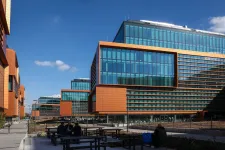 Csődeljárást kér maga ellen a Bayer Construct