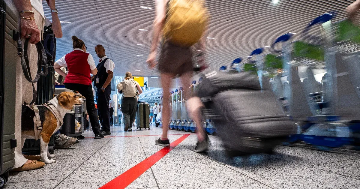 Hat dolgozó meghalt maláriával: Frankfurti reptéri fertőzések