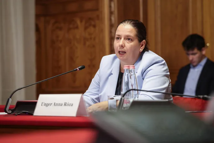 Unger Anna Róza a hétfői meghallgatáson – Fotó: Huszti István / Telex