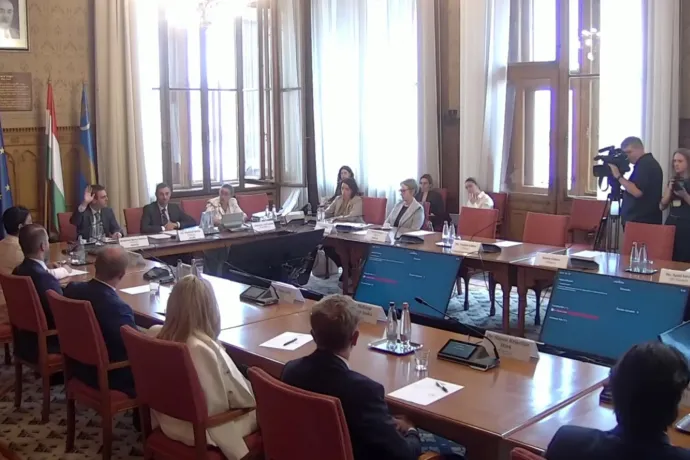 Egyedül a tiszás Melléthei-Barna Márton szavazott nemmel Unger Anna jelölésére a vagyonvisszaszerzési hivatal élére