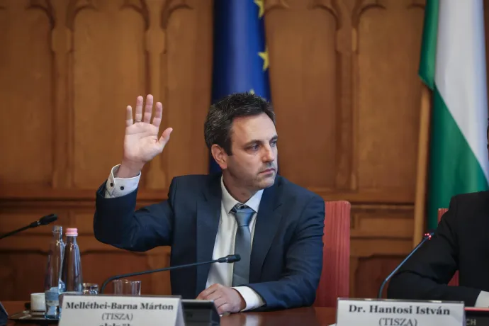 Egyedül a tiszás Melléthei-Barna Márton szavazott nemmel Unger Anna jelölésére a vagyonvisszaszerzési hivatal élére