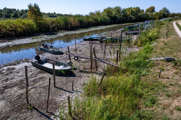 A Tisza-tó kiszáradt tiszavalki medencéje 2026. augusztus 24-én – Fotó: Czeglédi Zsolt / MTI