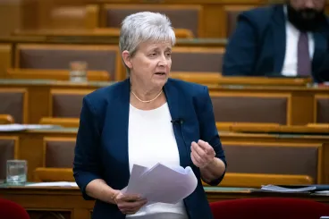 Lannert Juditék azt kérik, intézményenként legalább a pedagógusok 80 százaléka végezzen el egy gyors képzést az anafilaxiás sokkról
