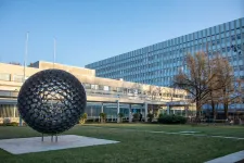 Fontos lépést tettek szegedi kutatók az immunsejtek válaszait meghatározó folyamatok megértésében