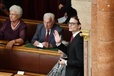 Orbán's son listed as head of medical mission to Chad in non-public government resolution
