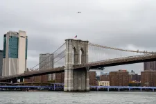 A New York-i rendőrség lelőtt egy férfit, aki felmászott a Brooklyn híd kábeleire