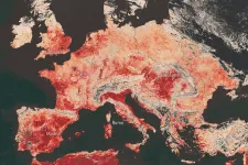 Már most akkora gazdasági károkat okoz a nyári hőség, mint amit 2050-re vártunk