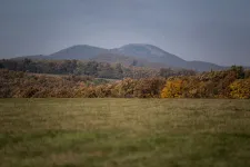 Itt van az ősz, itt van újra, de jövő héten még visszainteget a nyár
