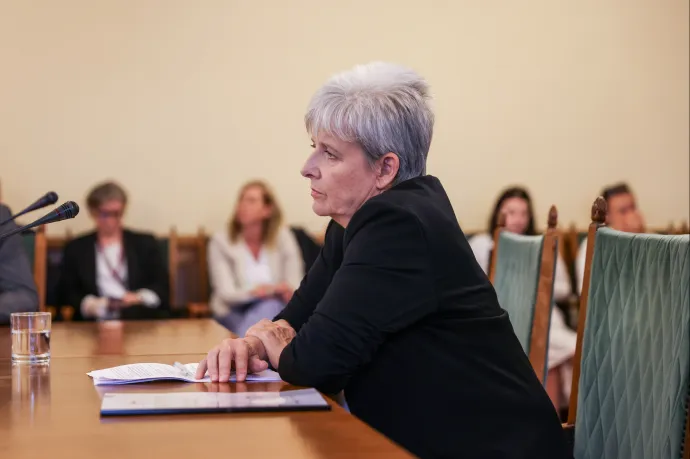 Lannert Judit: Megszűnik a pedagógusképzés a Nemzeti Közszolgálati Egyetemen