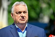 Orbán congratulates AfD on "landslide victory"