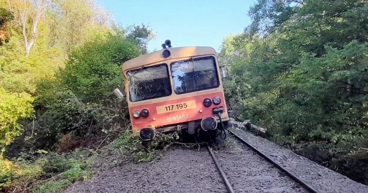 Fának ütközött és kisiklott egy motorvonat Szalatnak közelében