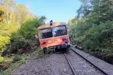 Fának ütközött és kisiklott egy motorvonat Szalatnak közelében