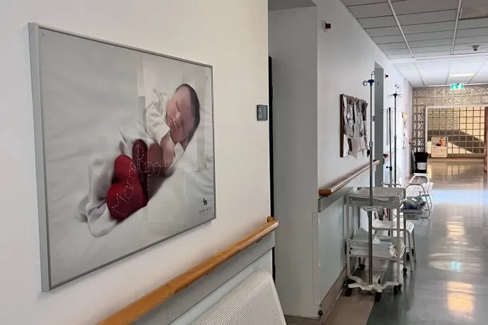 Vagy a dúla, vagy az apa? Hegedűs Zsoltig mennek a civilek a Szent Imre kórház szigorítása miatt