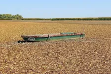 Hatalmas területek maradtak szárazon a Tisza-tó medrében