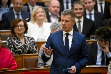 Magyar Péter nem azt látta Mészáros Lőrincen, hogy rettegne az önkénytől
