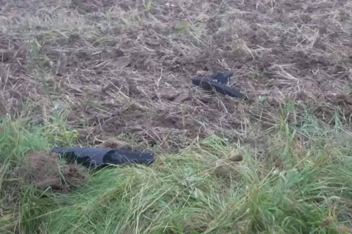 Robbanóanyaggal volt felszerelve a drón, amelyet a NATO vadászgépei lelőttek Litvánia felett