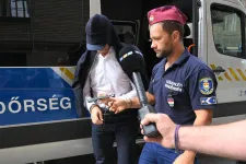 Letartóztatták Jellinek Dánielt és Szivek Norbertet