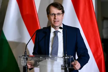 Roska Botond kapta a világ egyik legfontosabb látástudományi díját