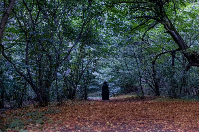 Ufóészlelésekre vezethető vissza a kolozsvári Hója-erdő paranormális turisztikai népszerűsége