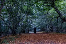 Ufóészlelésekre vezethető vissza a kolozsvári Hója-erdő paranormális turisztikai népszerűsége