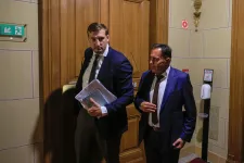 Felfüggesztették Pócs János, Kocsis Máté és Panyi Miklós mentelmi jogát