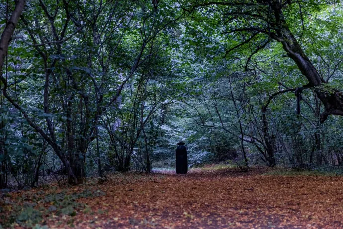 Ufóészlelésekre vezethető vissza a kolozsvári Hója-erdő paranormális turisztikai népszerűsége