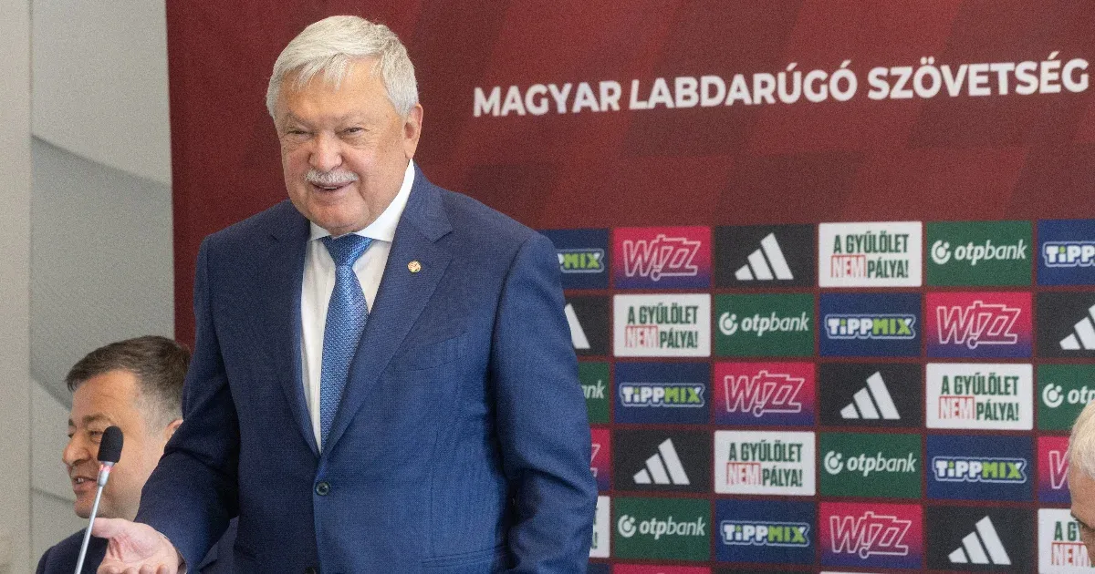 Az MLSZ taoelszámolásait vizsgáló ellenőrzés eredményei Az MLSZ taoelszámolásait vizsgáló ellenőrzés eredményei