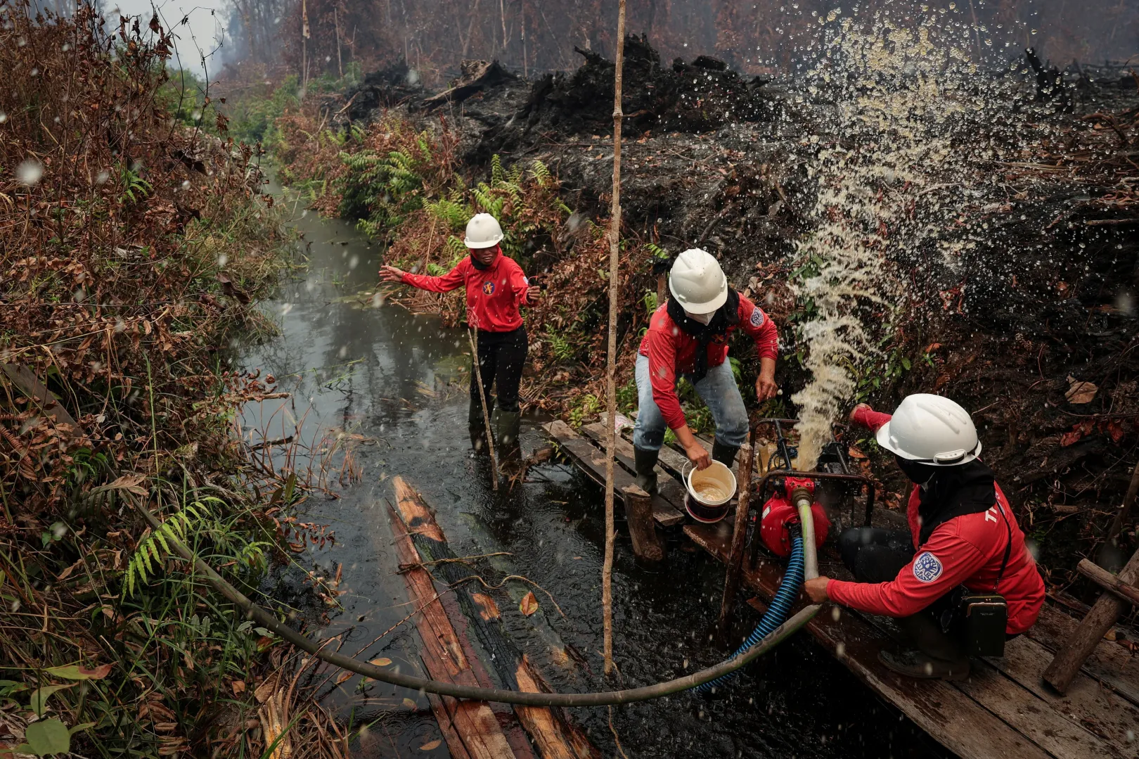 A 32 éves Suryati, a 38 éves Irma és a 41 éves Elwa oltás közben – Fotó: Willy Kurniawan / Reuters