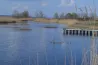 Hallerné Nagy Anikó szerint a NER nemcsak a strandolóktól vette el a Fertő tavat, hanem a helyi vállalkozóktól a megélhetésüket is