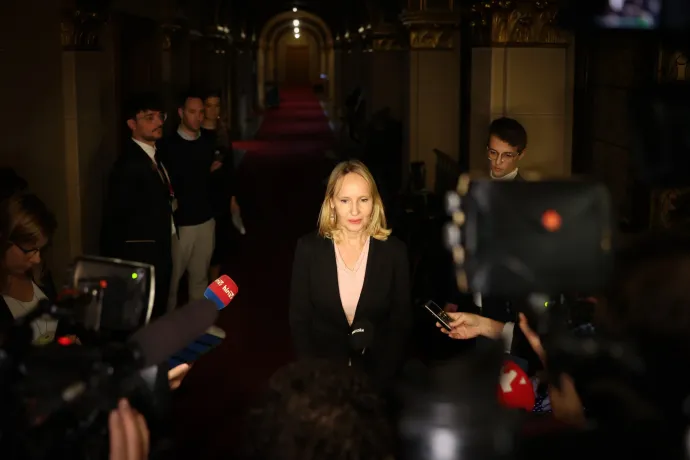 Sasi-Nagy Edit érkezik a bizottsági ülésre – Fotó: Bődey János / Telex