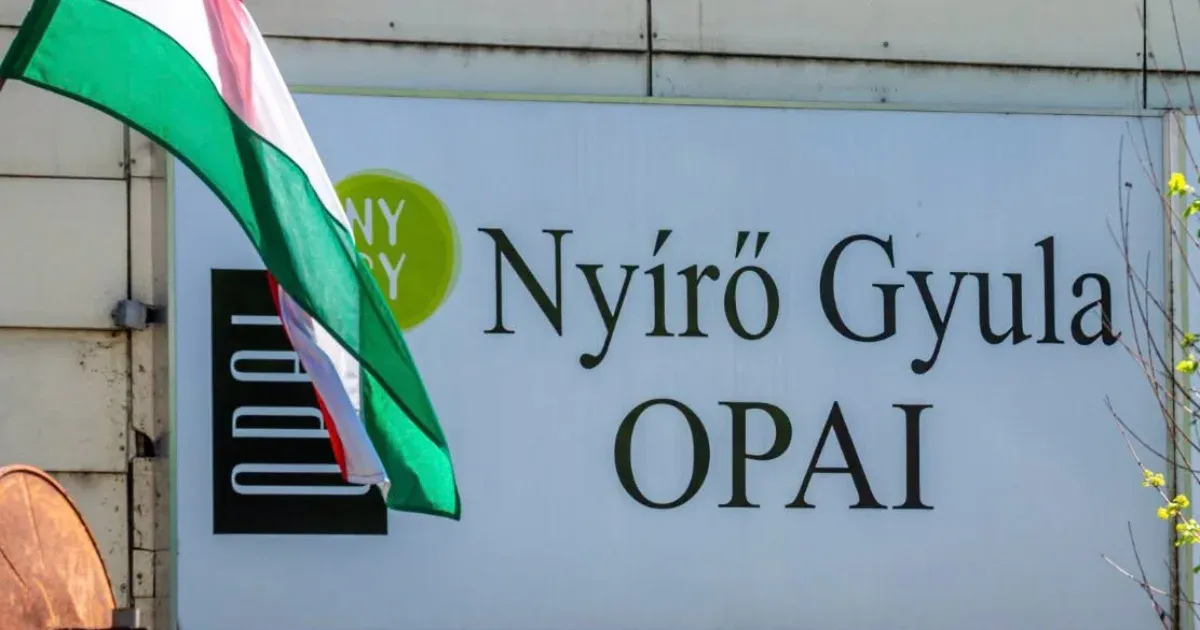 Váradi Enikő vezeti a Nyírő OPAI-t – új főigazgató a magyar pszichiátriai intézmény élén Váradi Enikő vezeti a Nyírő OPAI-t – új főigazgató a magyar pszichiátriai intézmény élén