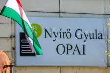 Hegedűs Zsolt megnevezte a Nyírő új főigazgatóját