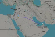 Vészjelzést adott ki egy Dubajból Tel-Avivba tartó repülőgép, kiderült, hogy a pilóták verekedtek össze