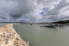 „Mondja már ki végre valaki, hogy mindez, ami itt történt, törvénytelen volt” – elölről kezdődhet a balatonföldvári kikötő miatti pereskedés