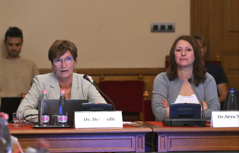 Három órán át tárgyalták a kórházban rekedt csecsemők ügyét a parlament vizsgálóbizottságában