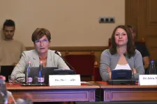 Három órán át tárgyalták a kórházban rekedt csecsemők ügyét a parlament vizsgálóbizottságában