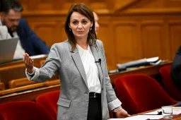Reagált Lőrincz Viktória vádjaira a hűtlen kezeléssel gyanúsított veszprémi cég