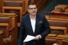 Seszták ügyvédje szerint már a mentelmi jog felfüggesztése előtt megfigyelték a volt minisztert