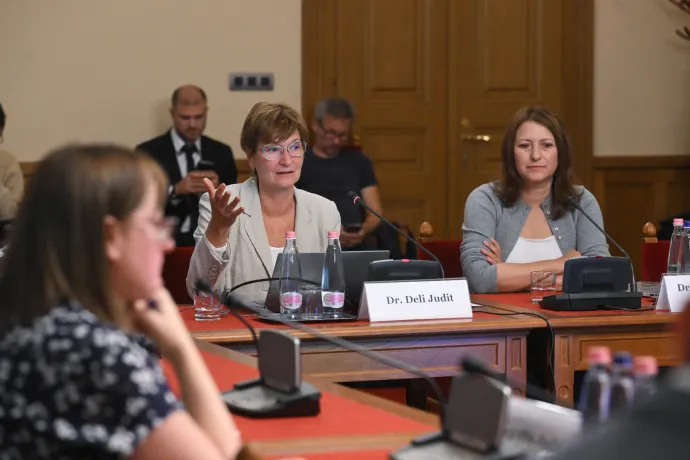 Három órán át tárgyalták a kórházban rekedt csecsemők ügyét a parlament vizsgálóbizottságában