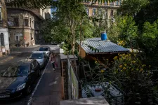 Kétszáznál is több fa nőtt magokból az egykori parkolóban, a helyére most szálloda épül