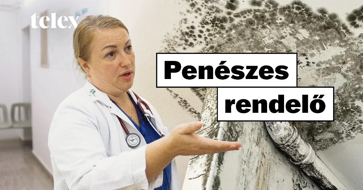 Kaposvári háziorvos rendelője felújításra szorul Kaposvári háziorvos rendelője felújításra szorul