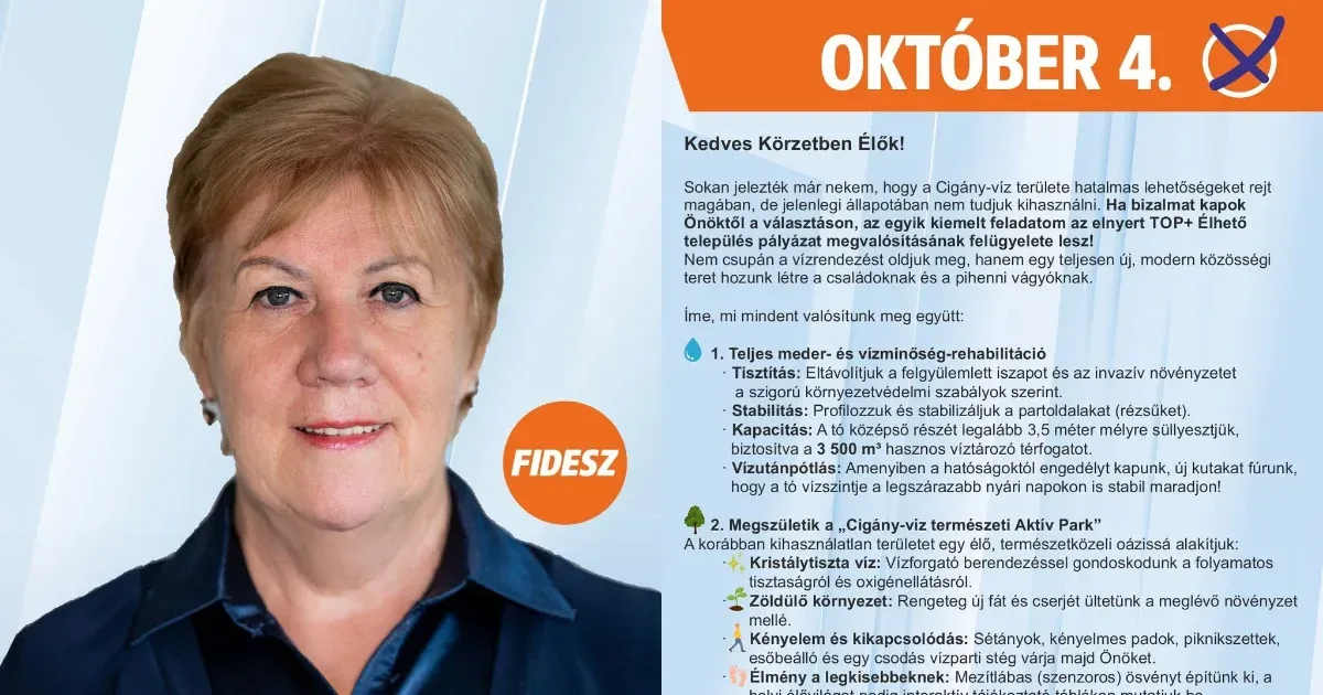 Időközi választások eredményei Magyarországon Időközi választások eredményei Magyarországon