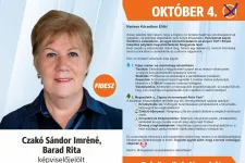A Fidesz képviselőjelöltje nyert a nagykátai időközi önkormányzati választáson