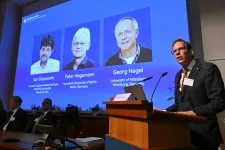 Fénnyel irányítható idegsejtekért járt a 2026-os orvosi Nobel-díj