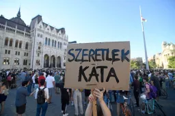 Az új kata is elég nagy kísértést jelent majd a bújtatott foglalkoztatásra