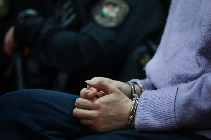 Paris Prosecutor's Office willing to extradite antifa activist to Hungary, citing significant improvements in justice system after election