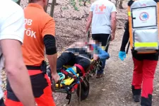 Nyílt lábszártörést szenvedett egy túrázó a Börzsönyben, mentőhelikoptert is küldtek érte