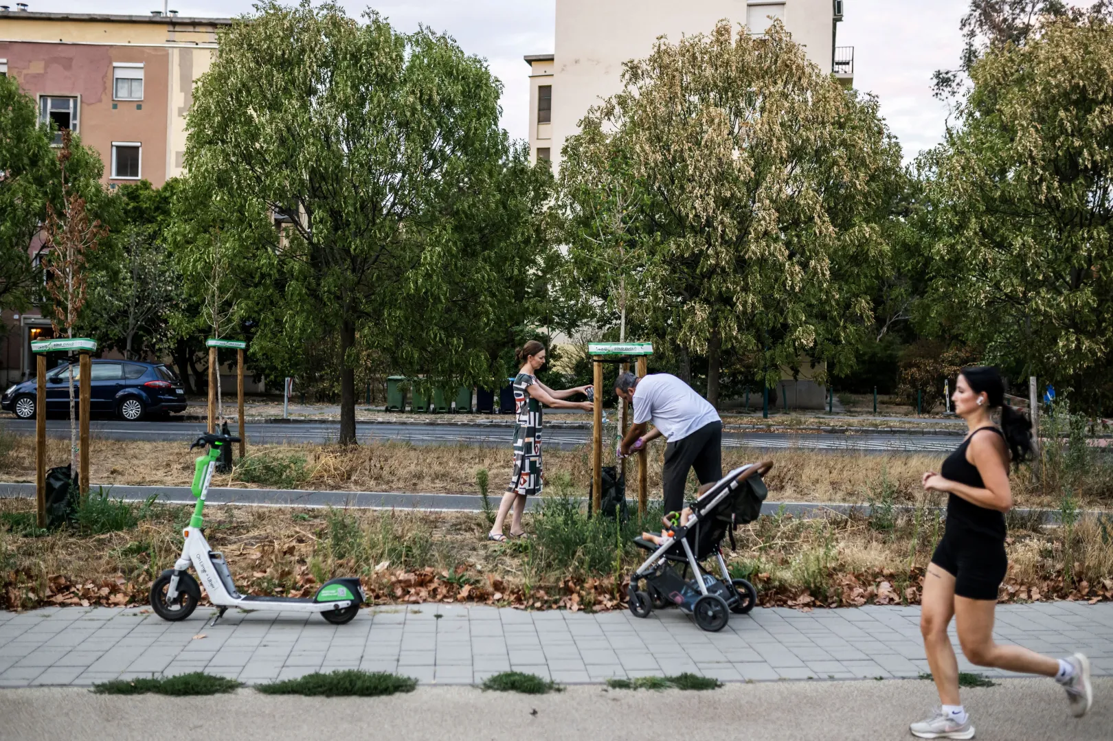 Tarcsi András feleségével és lányával a budapesti lakóhelyükhöz közeli parkban rendszeresen öntözik a fákat, hogy megóvják azokat a kiszáradástól – Fotó: Mónus Márton / Reuters